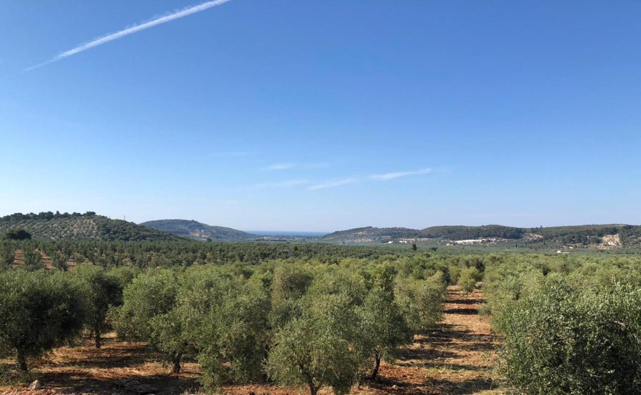 Borgo Rosoli Vieste Bagian luar foto