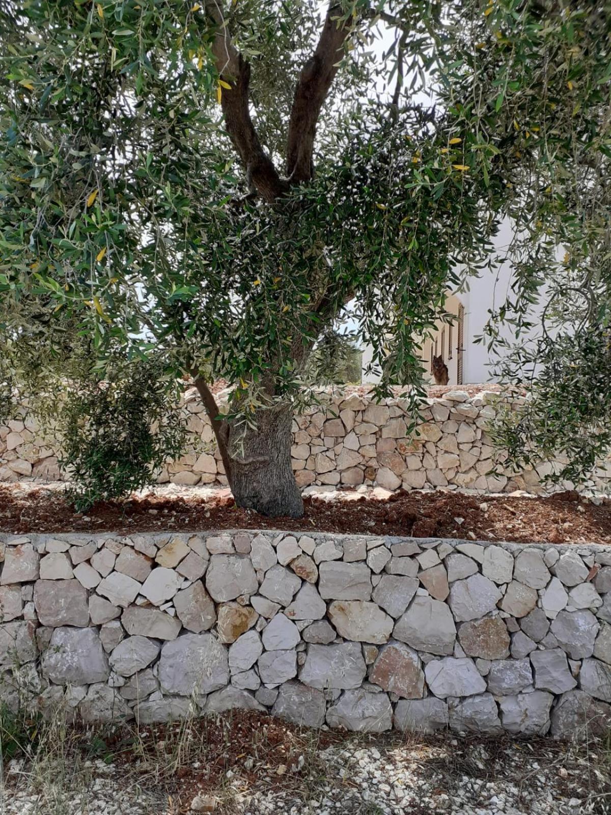 Borgo Rosoli Vieste Bagian luar foto