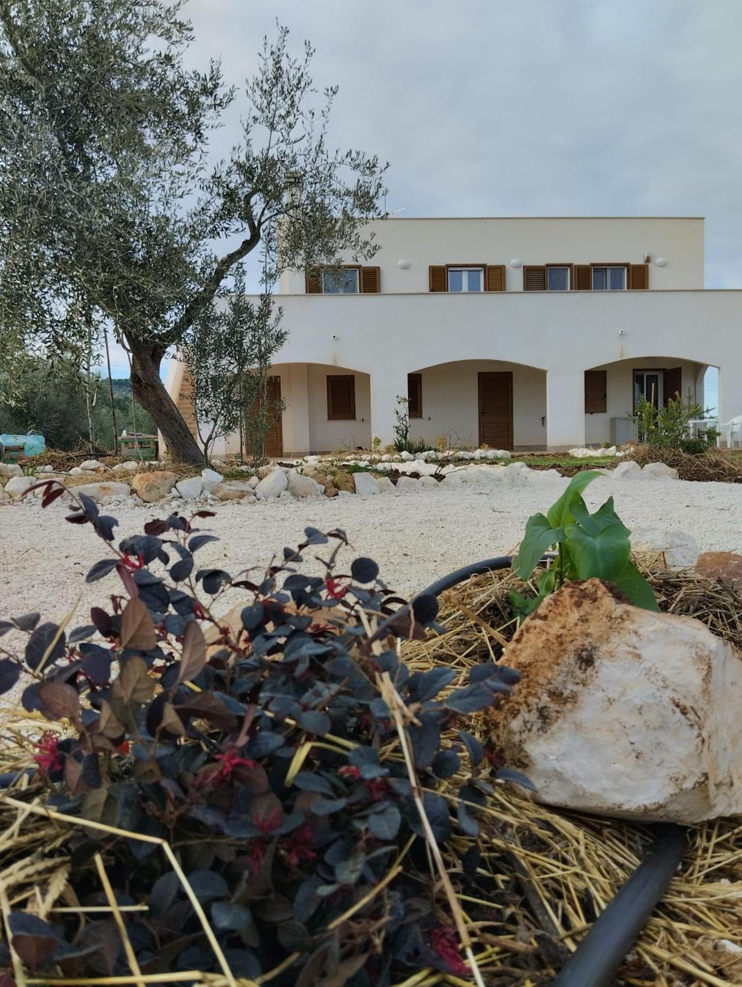 Borgo Rosoli Vieste Bagian luar foto