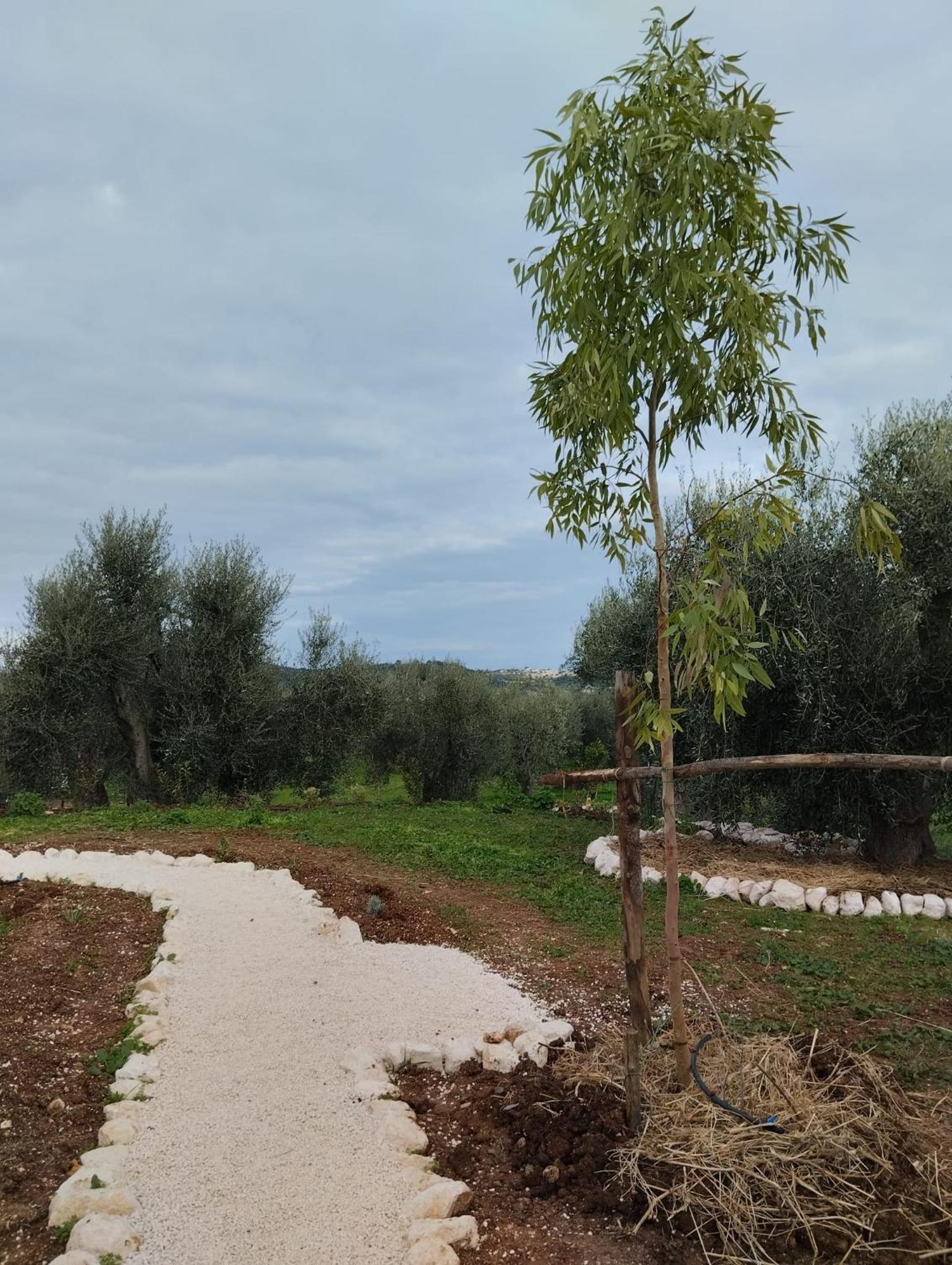 Borgo Rosoli Vieste Bagian luar foto