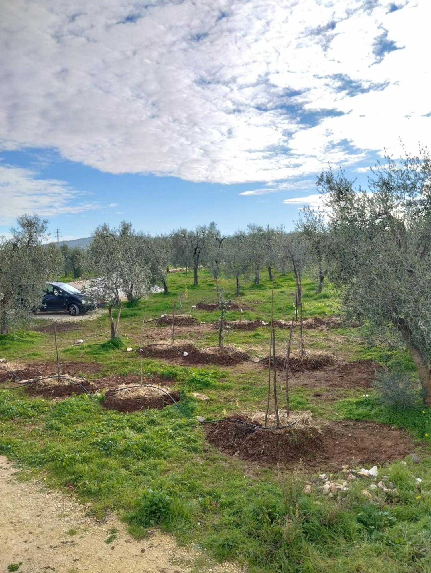 Borgo Rosoli Vieste Bagian luar foto